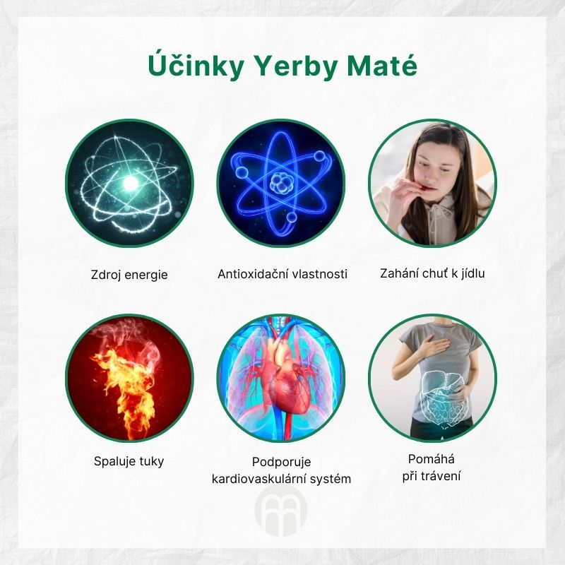 Účinky Yerby Maté